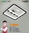 6006-8 details Picture